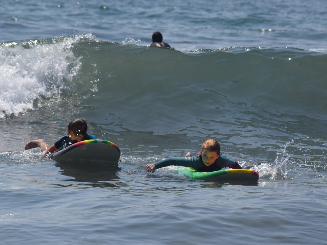 Aloha Brothers Surf Lessons-洛杉矶必去景点