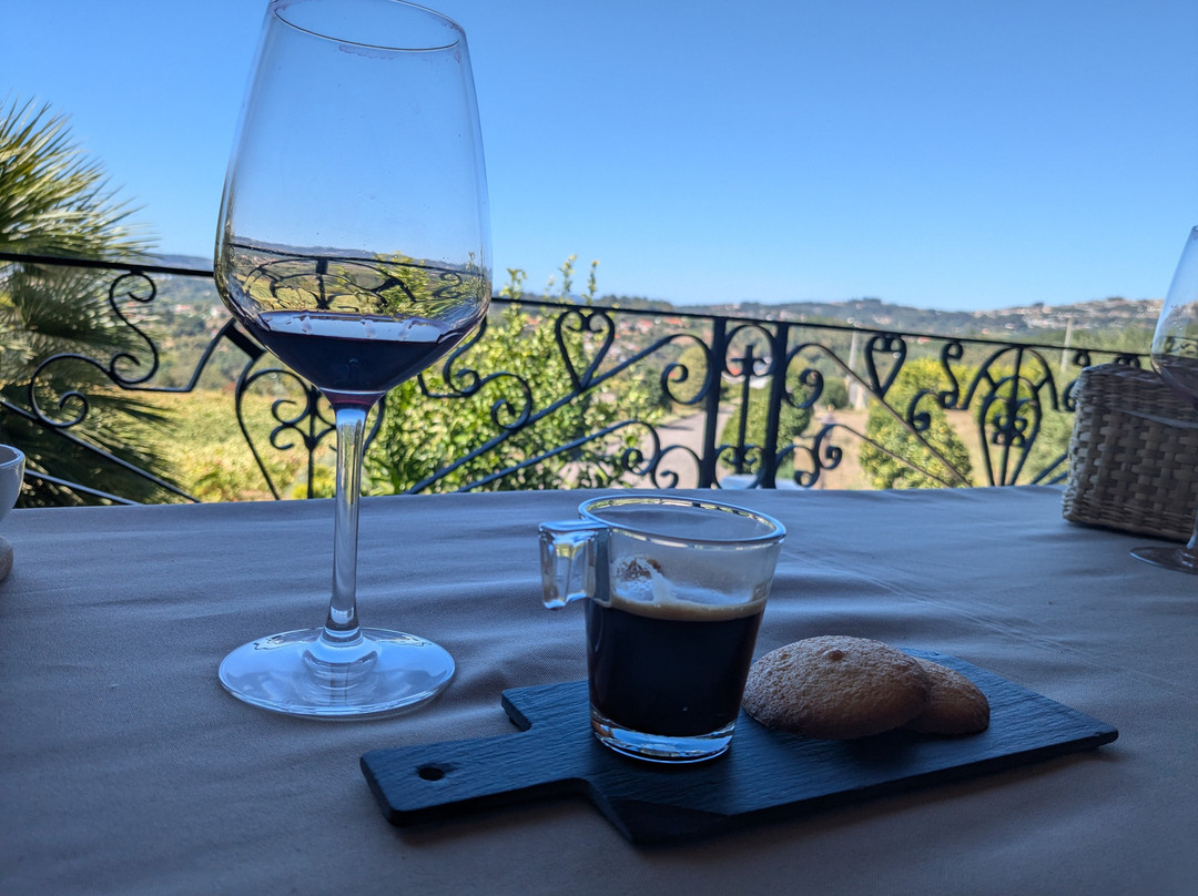 Sapateiro - Vineyard & Winery景点图片