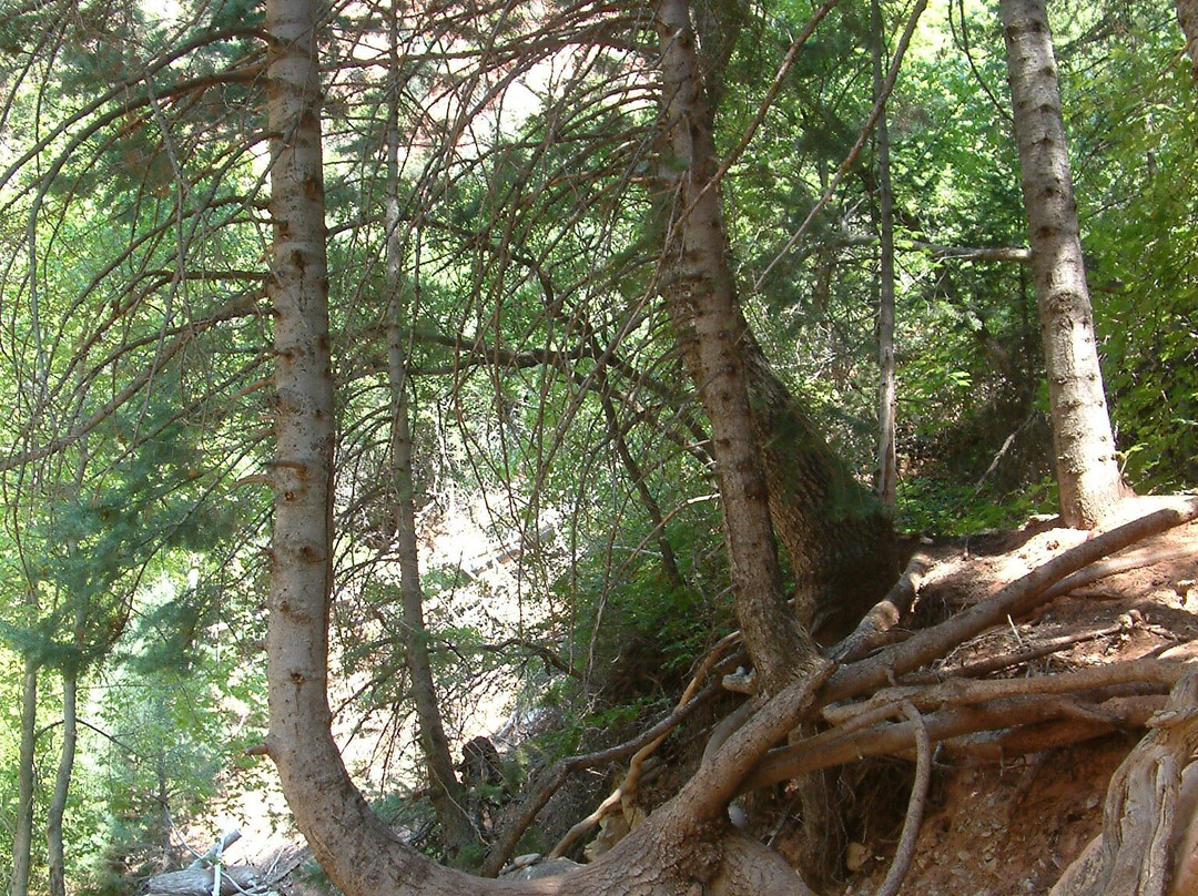Kanarraville Falls-Kanarraville必去景点