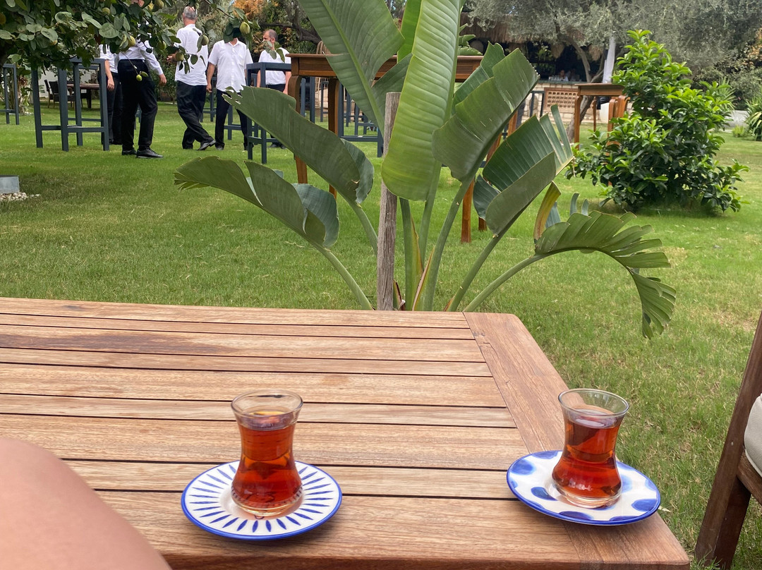 Ayse Hanim Konagi主图