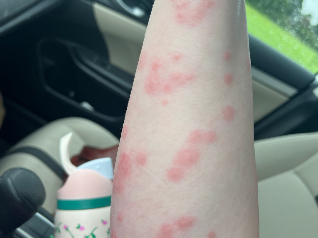 Clarion Pointe主图