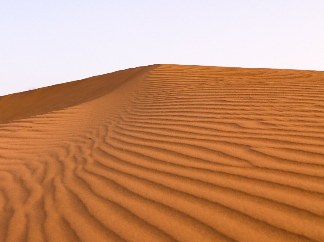 Jaisalmer Camel Safari景点图片