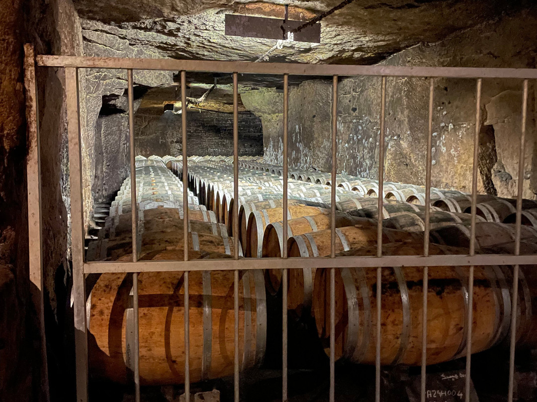 Caves Bouvet-Ladubay景点图片