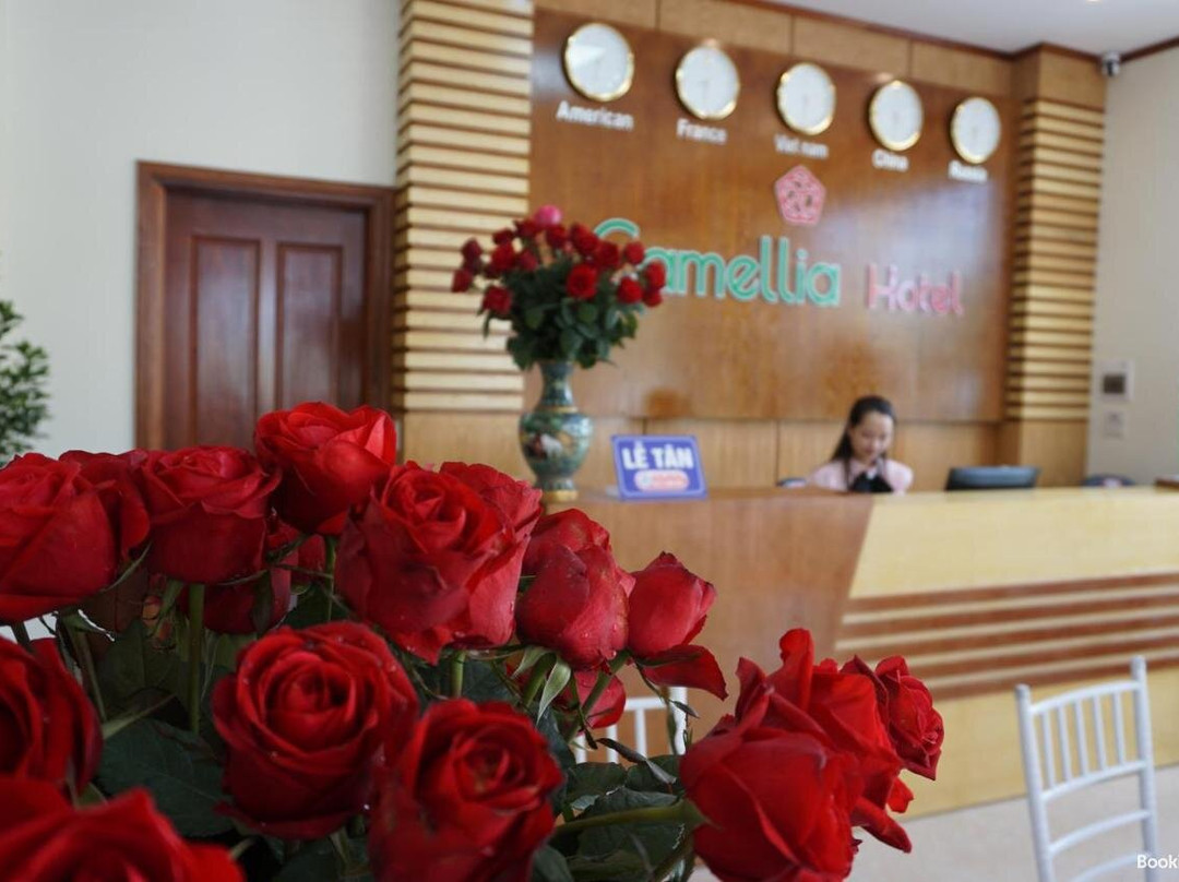 Camellia Hotel Thanh Hoa主图