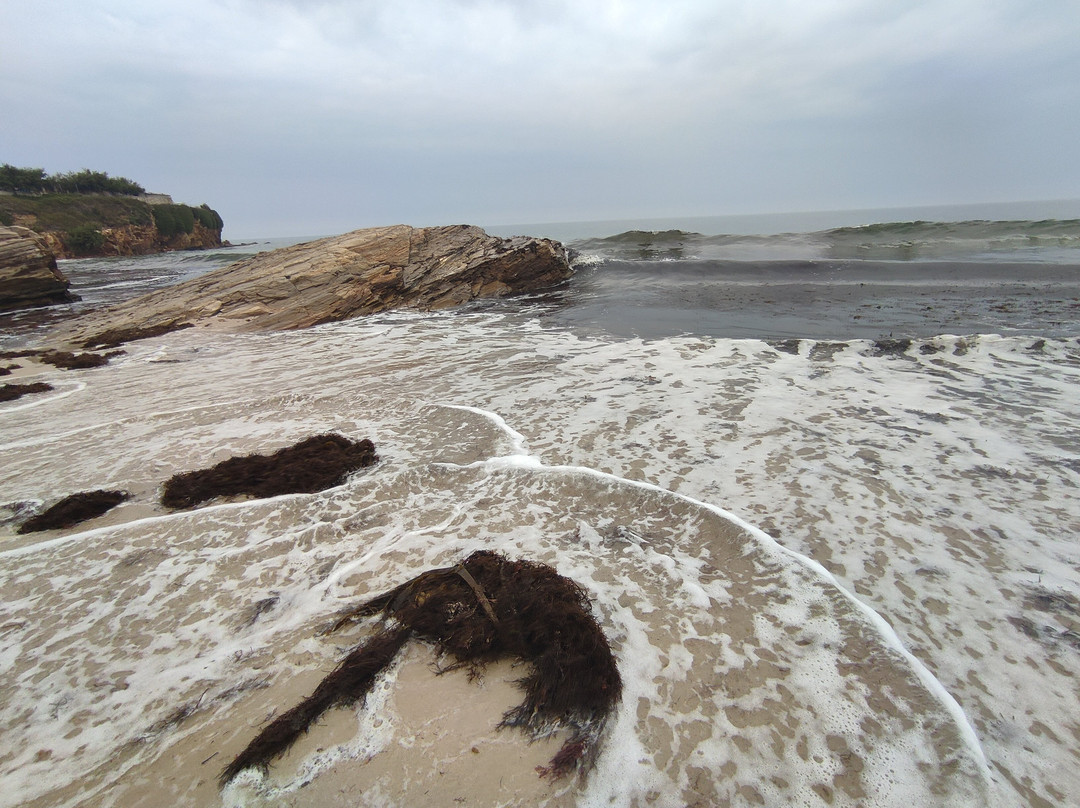 Playa de Llas景点图片