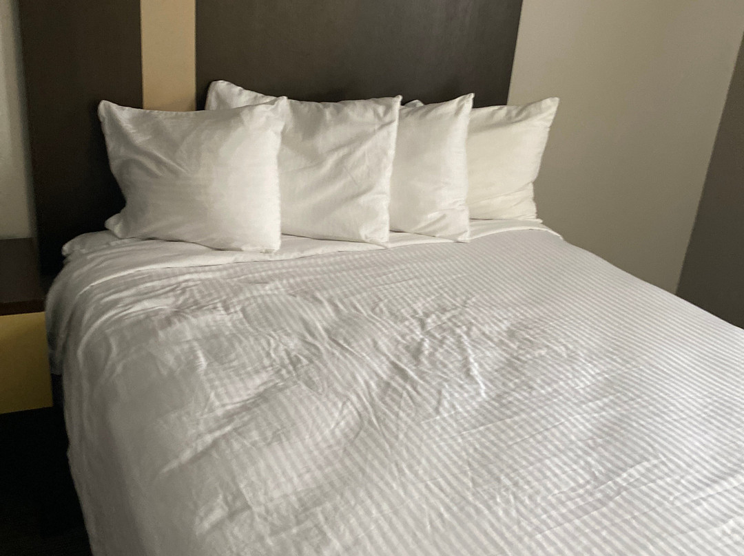 Best Western Inn & Suites主图