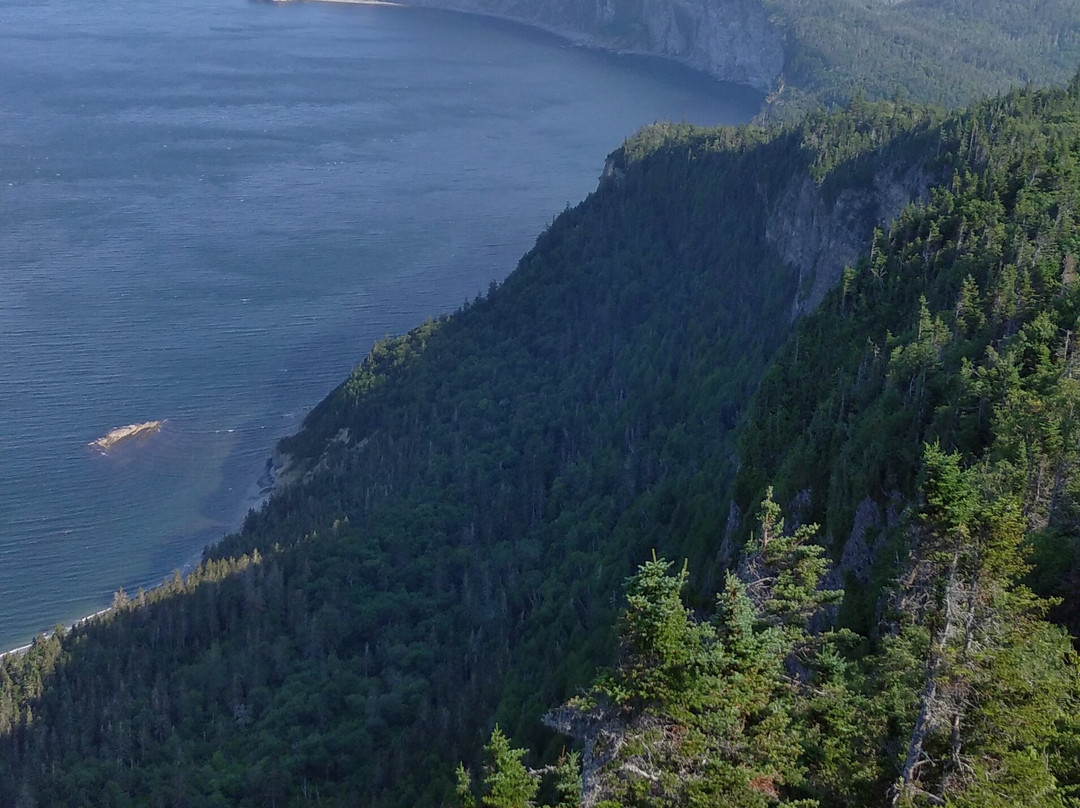 Mont Saint Alban景点图片