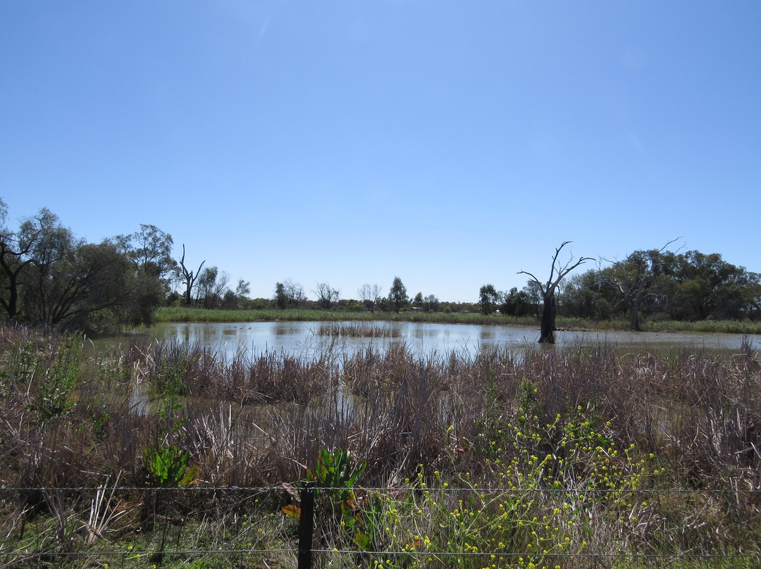 Tiger Bay Wetlands-Warren必去景点