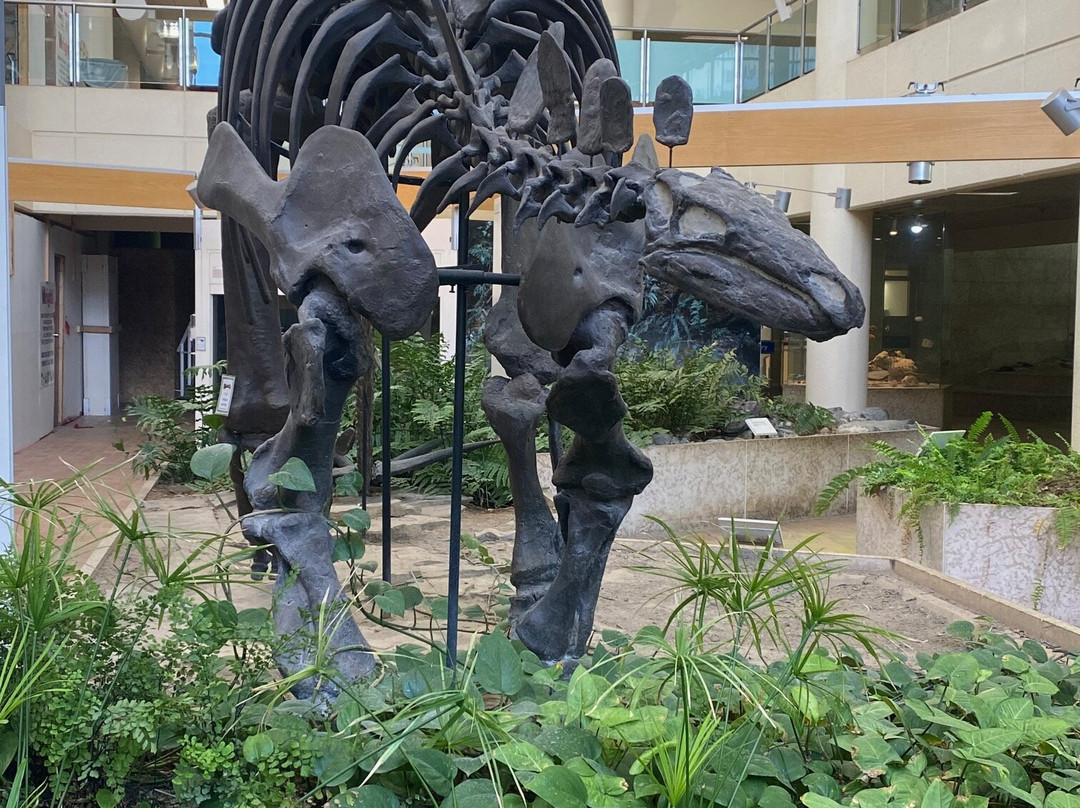 Museum of Natural Sciences-萨斯卡通必去景点