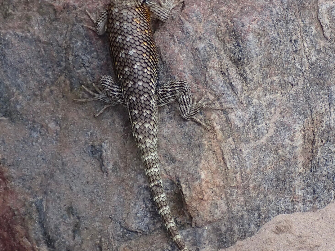 Outdoors Unlimited Grand Canyon Rafting-大理石峡谷必去景点