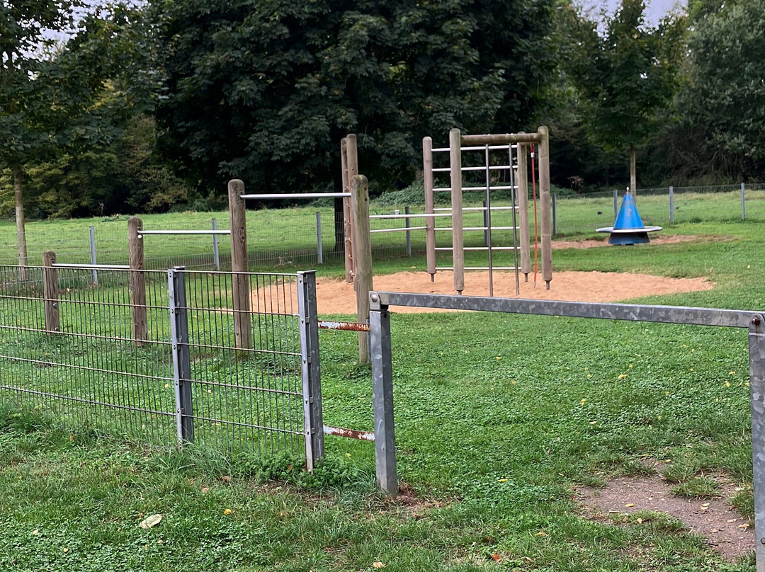 Spielplatz Bendenweg景点图片