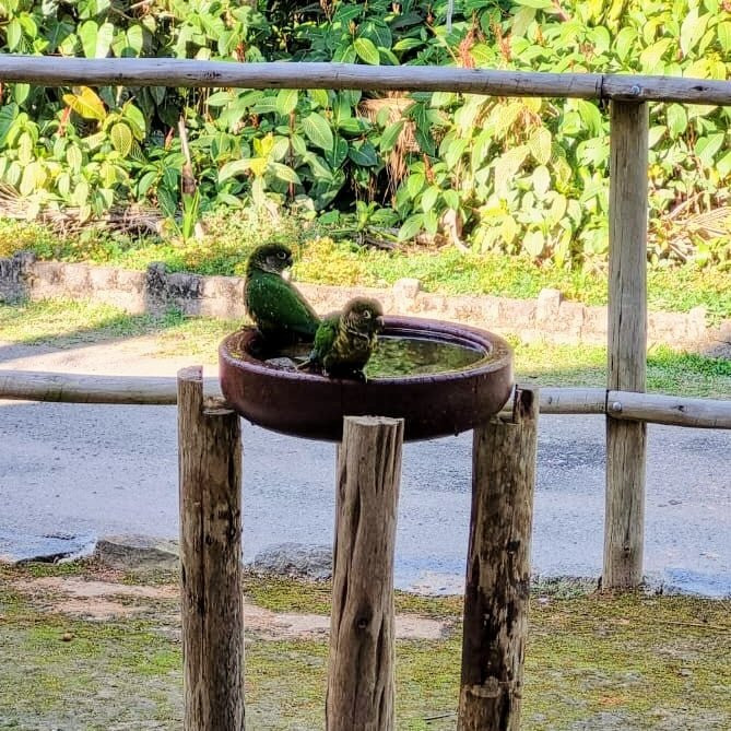 Campo Belo Cafeteria E Souvenirs