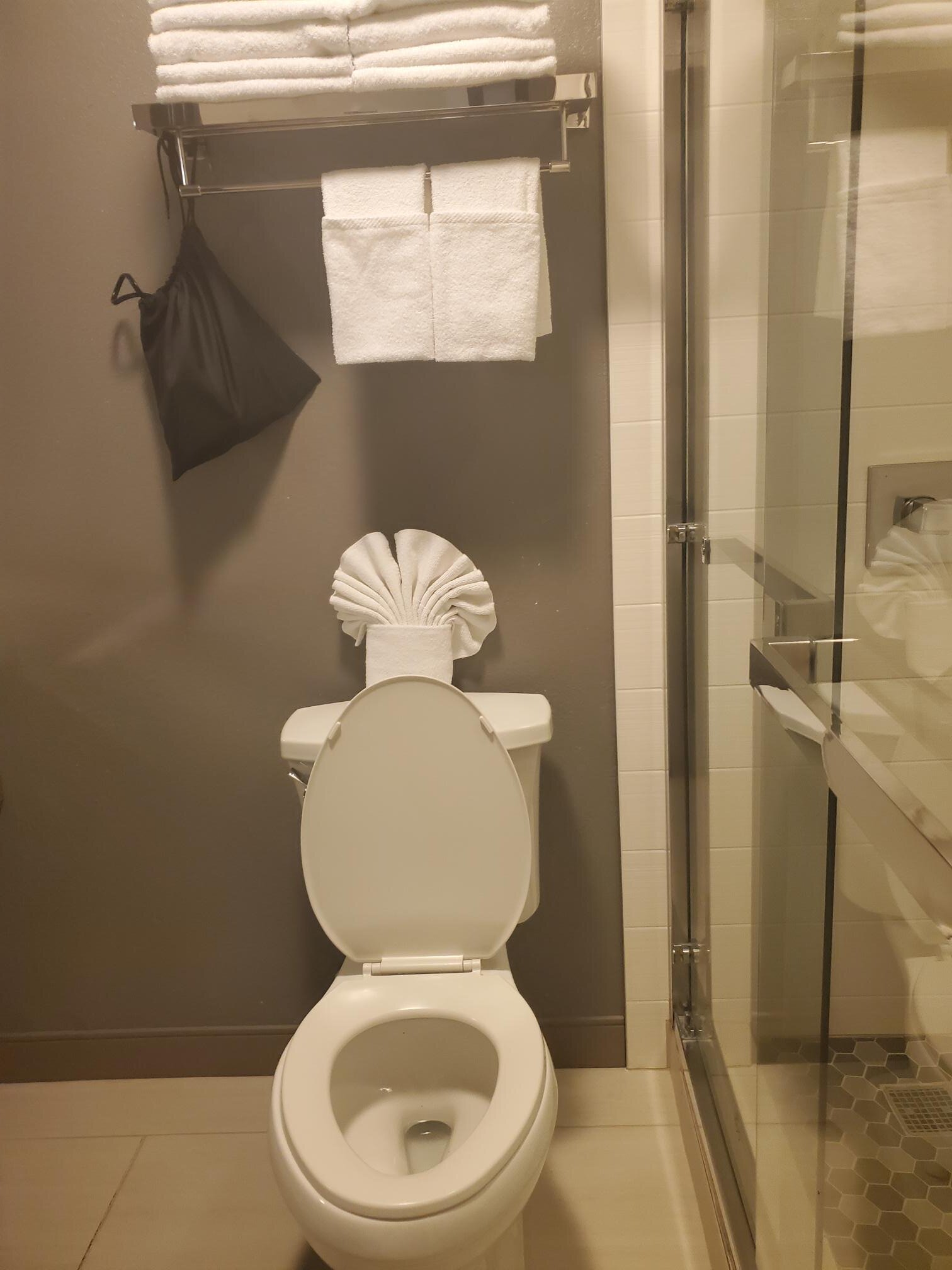 Holiday Inn Express & Suites Santa Clara - Silicon Valley By IHG-浴室