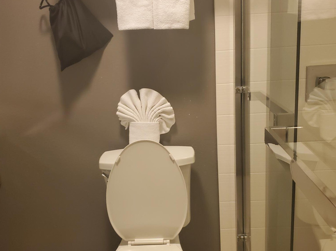 Holiday Inn Express & Suites Santa Clara - Silicon Valley By IHG主图