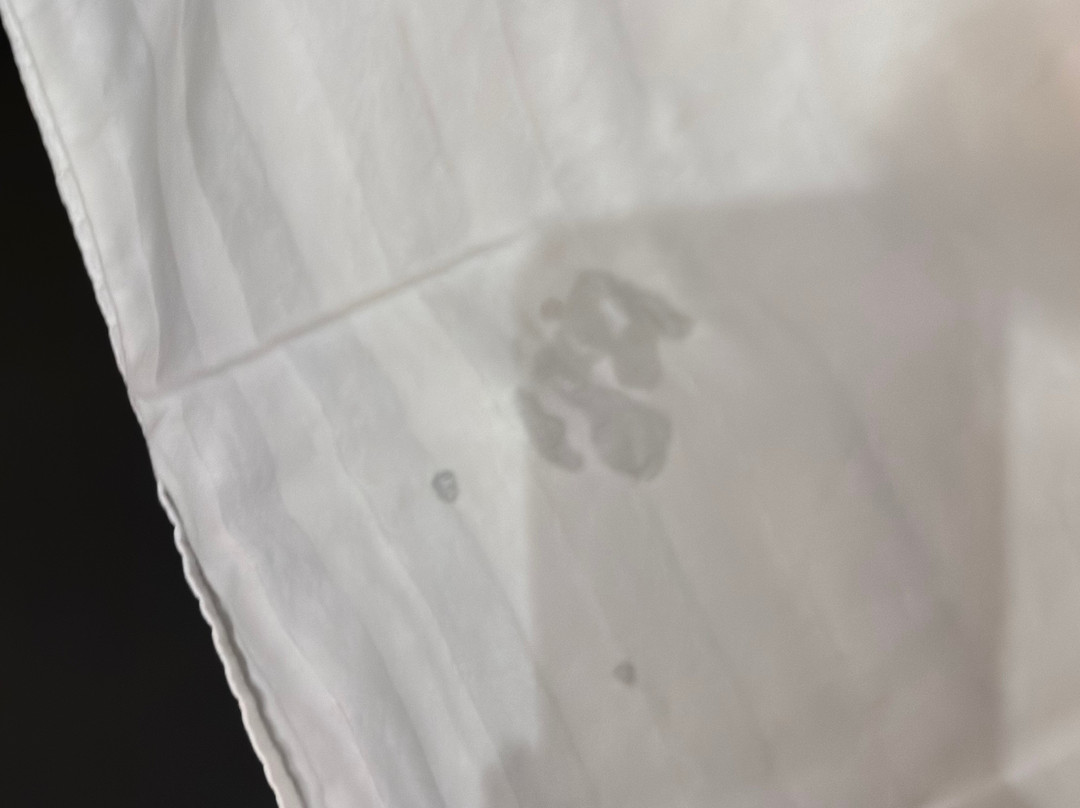 劳雷尔汽车旅馆主图