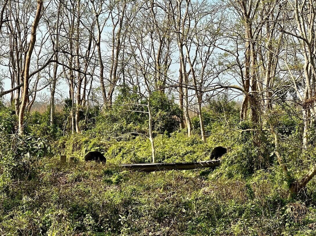 Nature Encounter Tours-苏拉哈必去景点