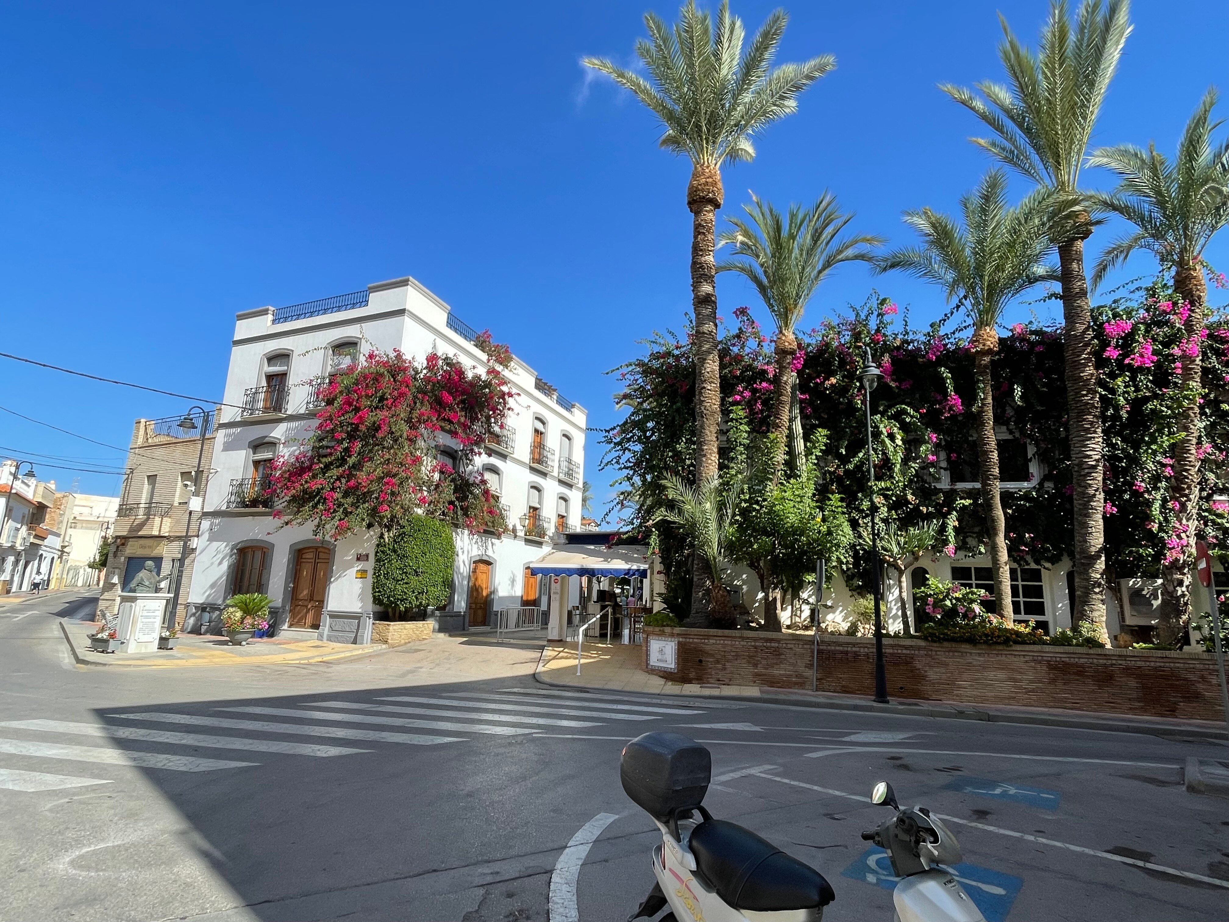 Hotel Terraza Carmona-官方