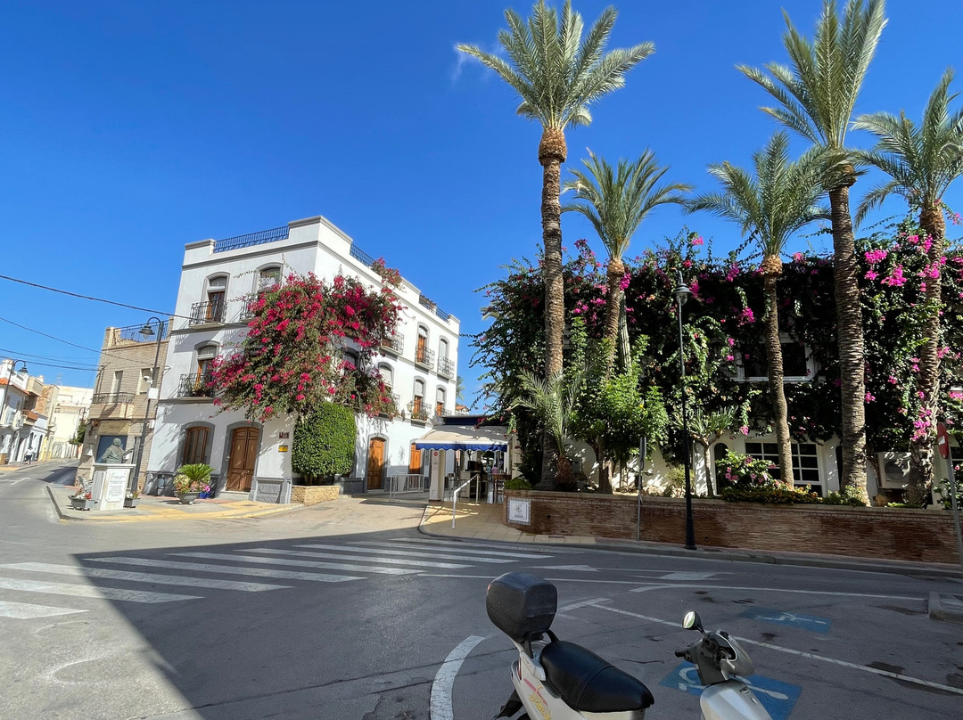 Hotel Terraza Carmona主图