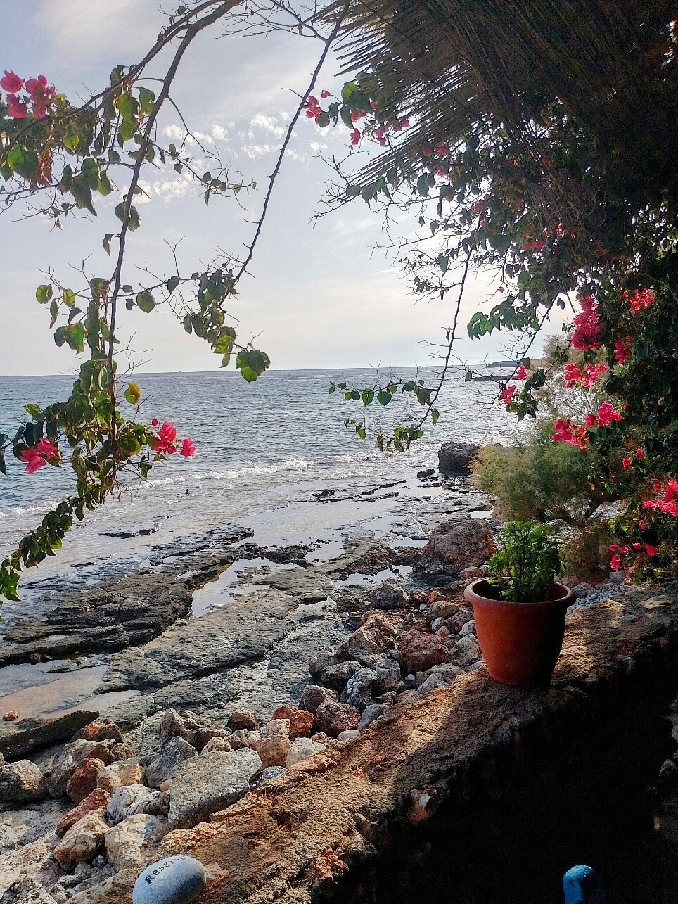 Taverna Akrogiali-官方