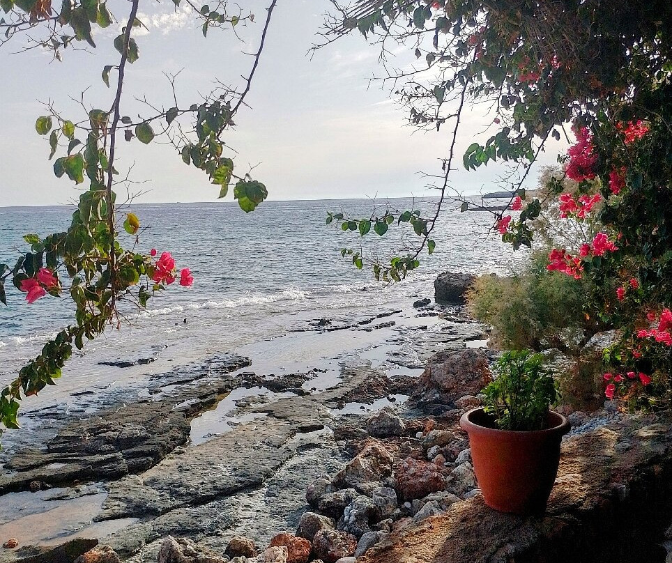 Taverna Akrogiali主图