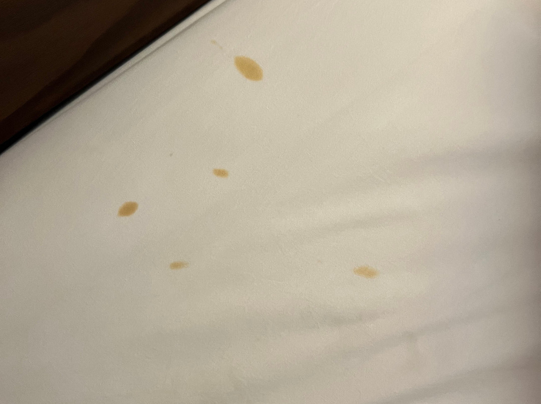 Super 8 by Wyndham Defuniak Springs主图