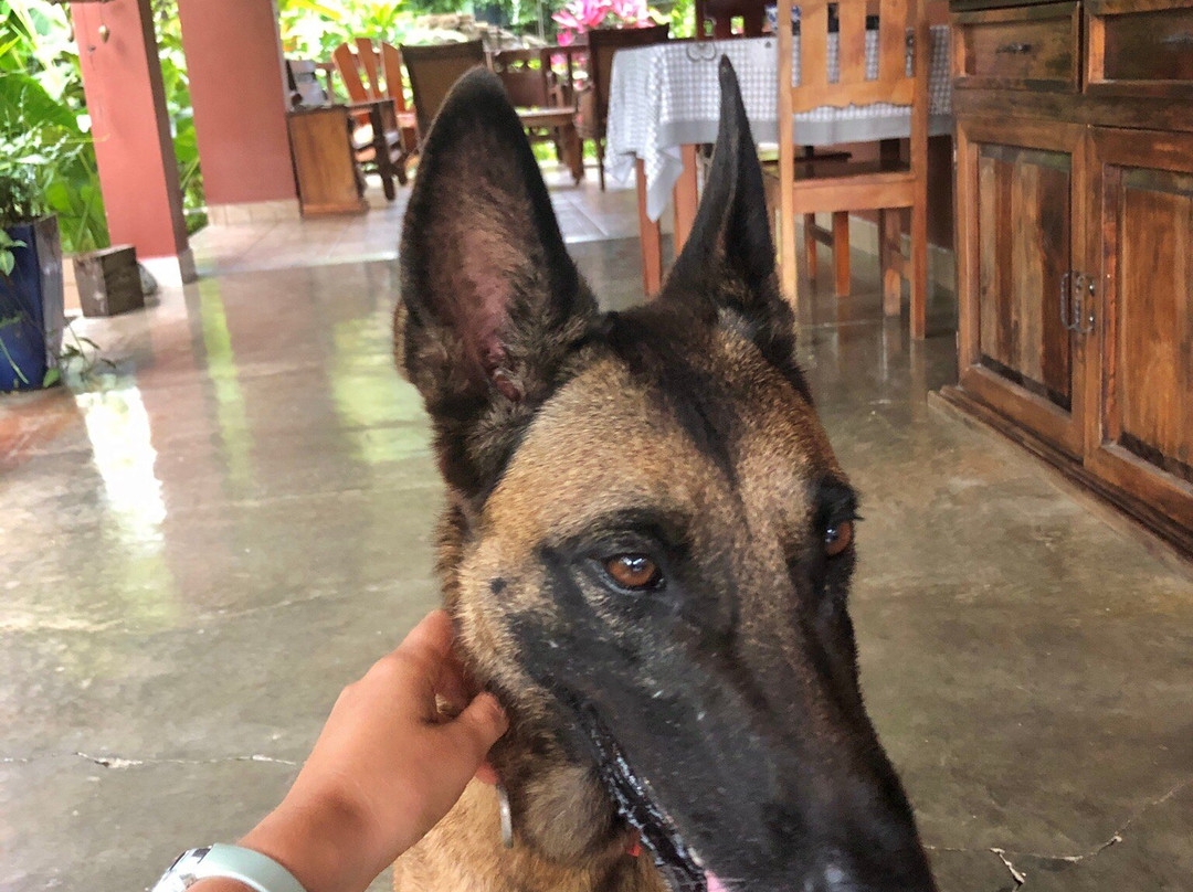 Hotel Inn Jimenez主图