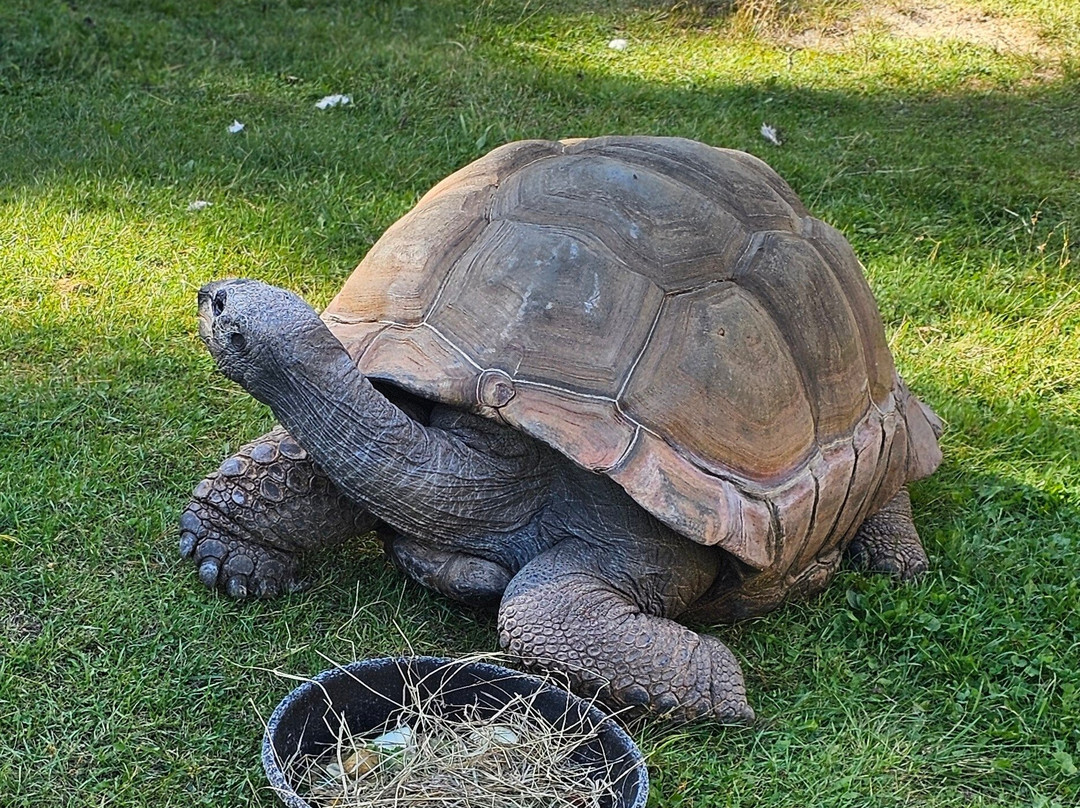 NEW Zoo & Adventure Park-格林贝必去景点