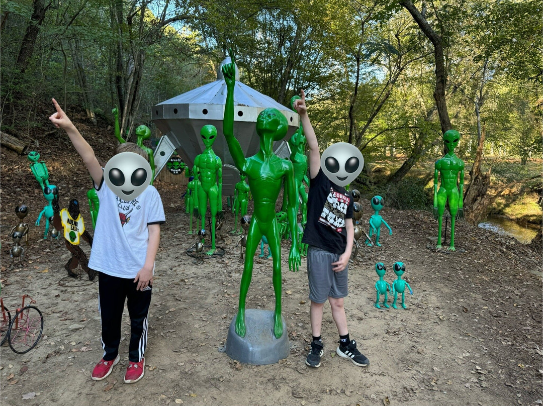The Zoo Groovy Yard Art景点图片