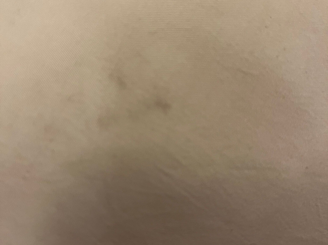 Comfort Inn & Suites Decatur-Forsyth主图