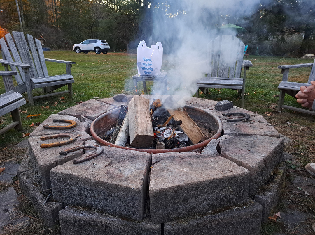 Mountain Treasure主图