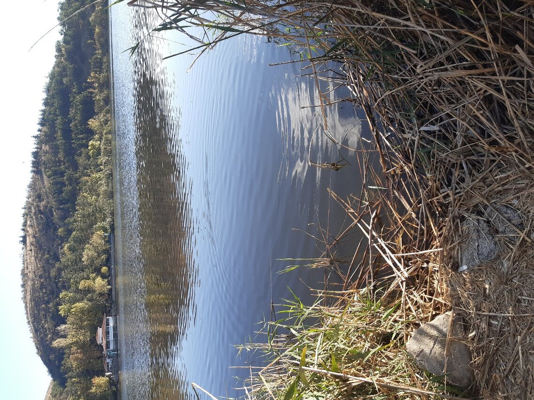 Eymir Lake-安卡拉必去景点