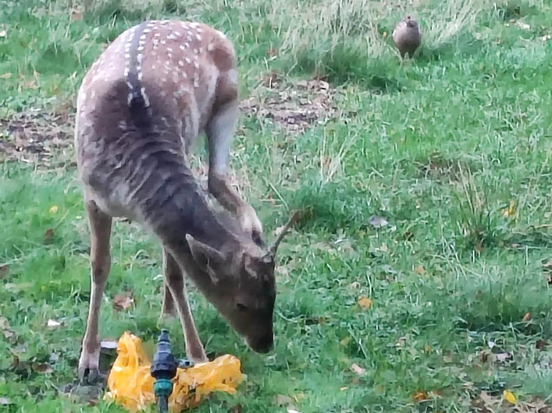 Nadezhda Park-Hotel主图