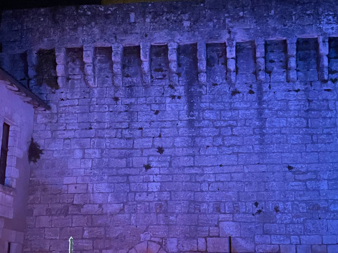 Château De Bourdeilles景点图片