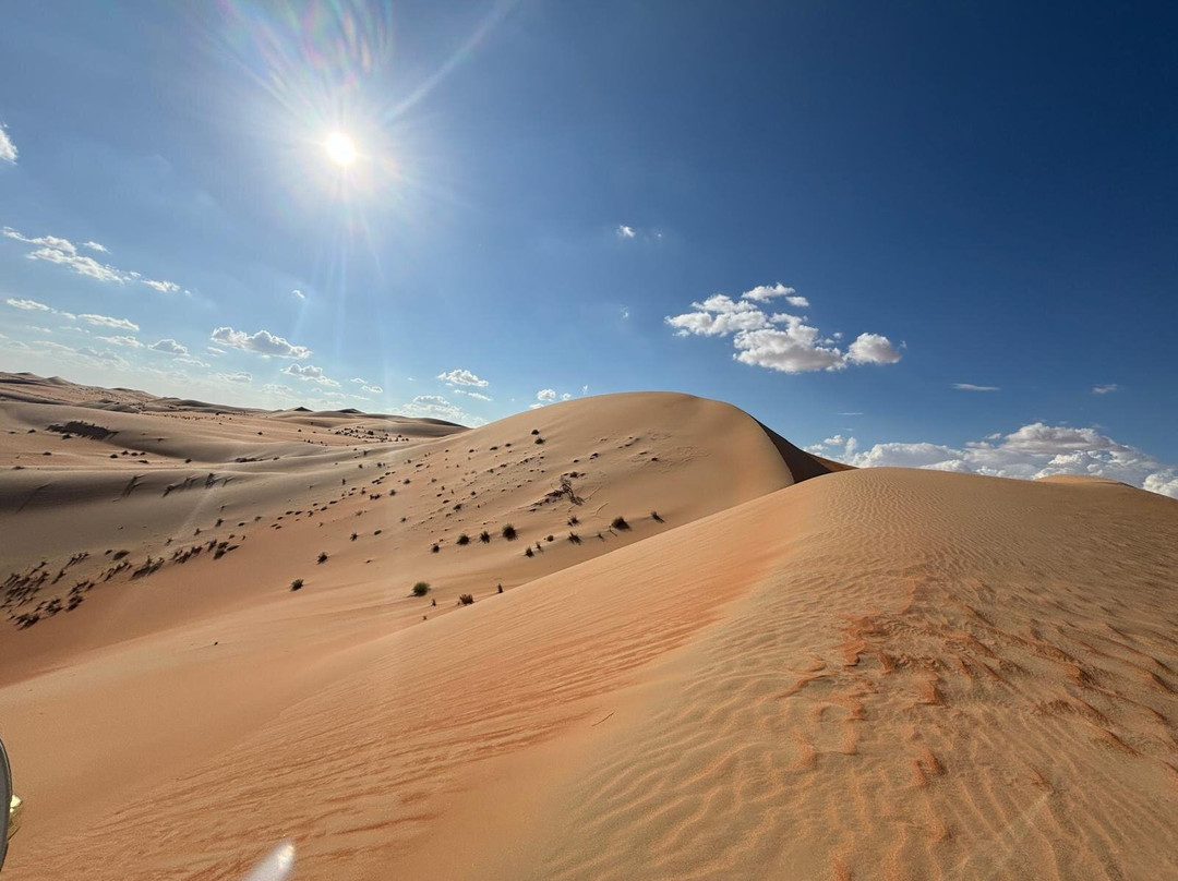 Liwa Desert Safari景点图片