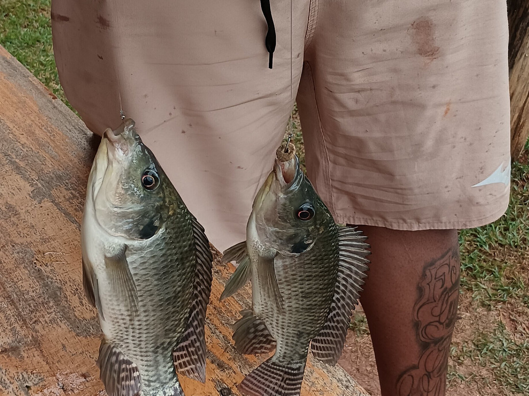 Hotel Recanto Azul主图