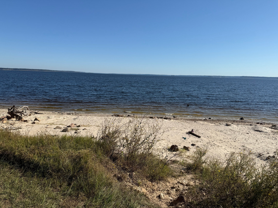 The Bird & Butterfly Inn主图