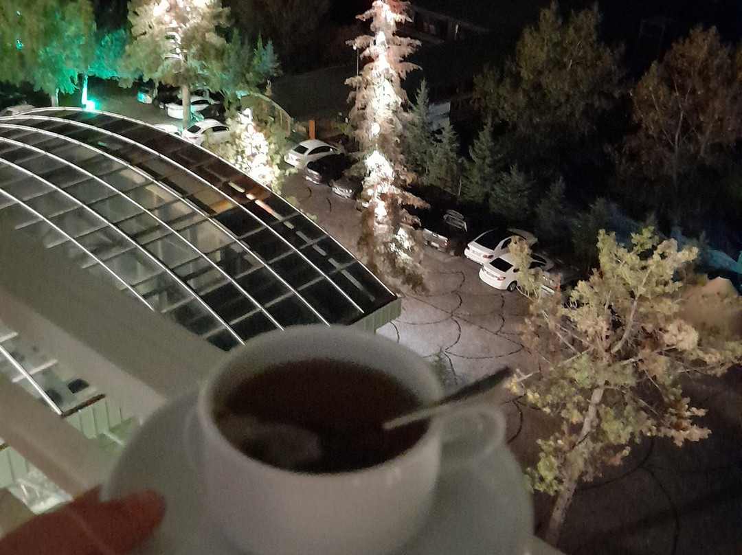 Çam Thermal Resort & Spa Hotel主图
