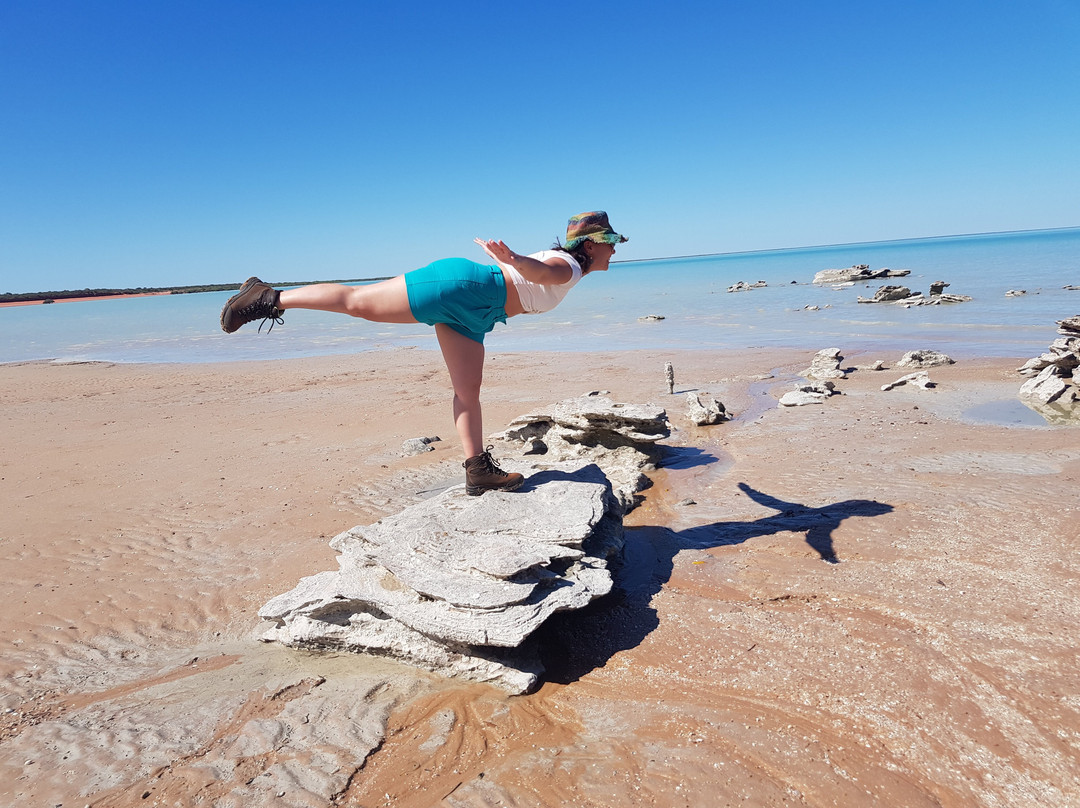 Broome Bird Observatory景点图片