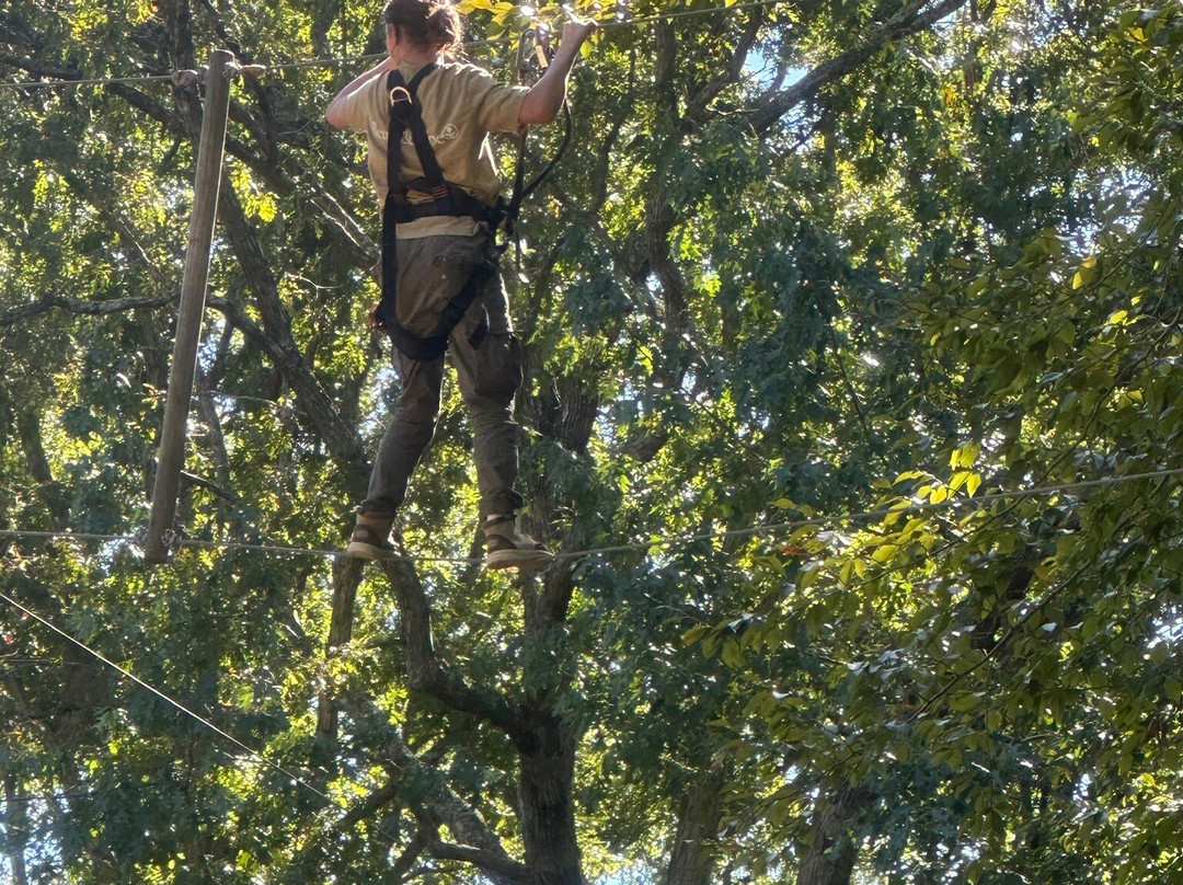 Tree Top Adventures-London必去景点