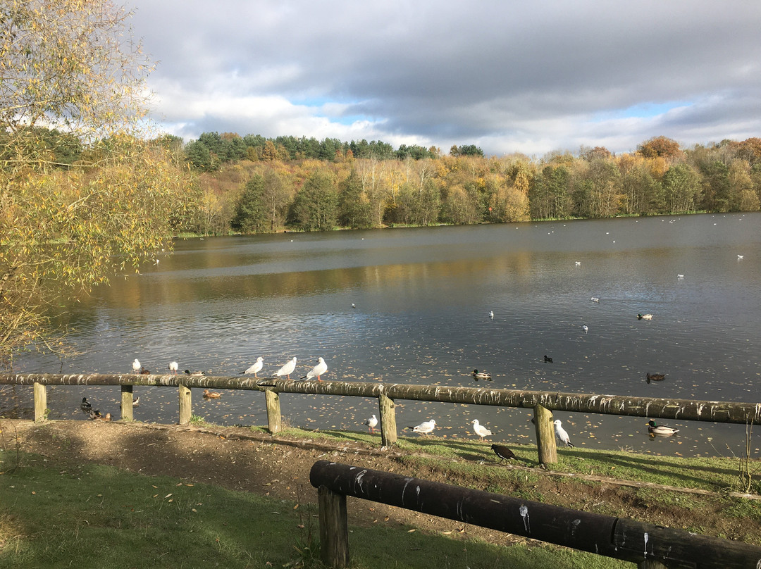 Holmebrook Valley Park景点图片