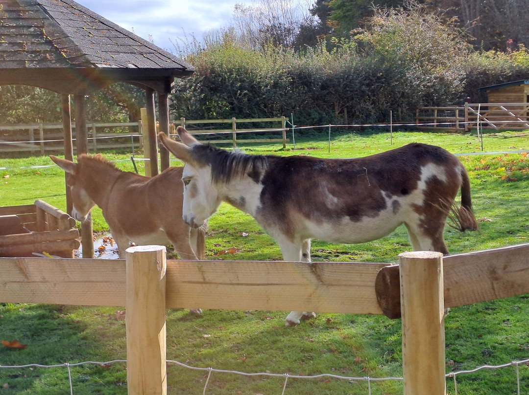 Millets Farm Centre景点图片