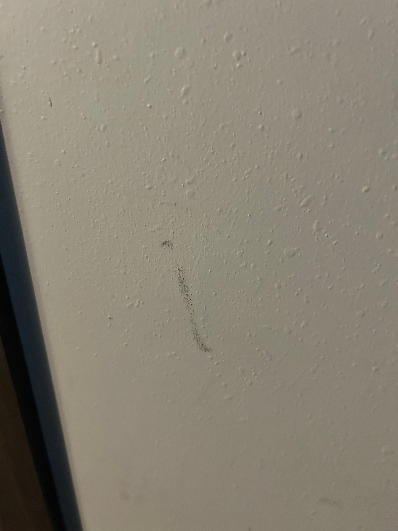 Tru by Hilton Knoxville West Turkey Creek-客卧