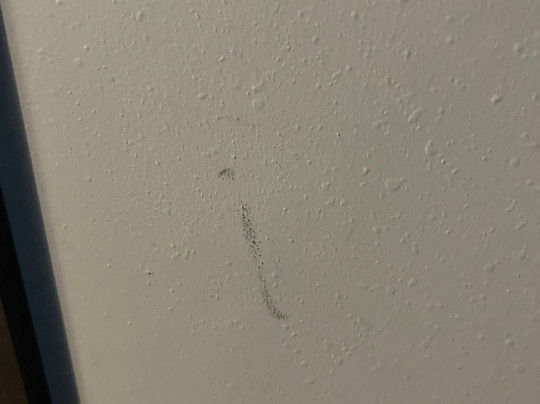 Tru by Hilton Knoxville West Turkey Creek主图