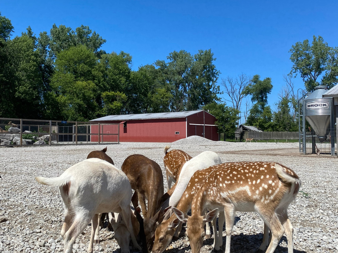 Lagoon Deer Park-桑达斯基必去景点