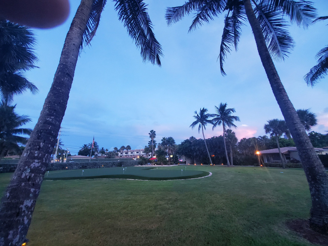 Royal Flamingo主图