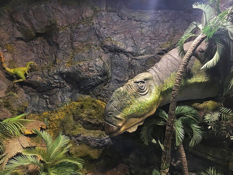 国家澳宝收藏馆-墨尔本必去景点