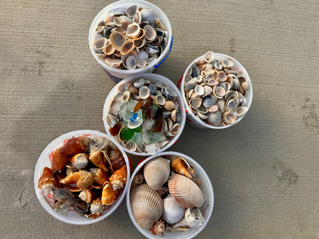 Holly Beach-Cameron必去景点