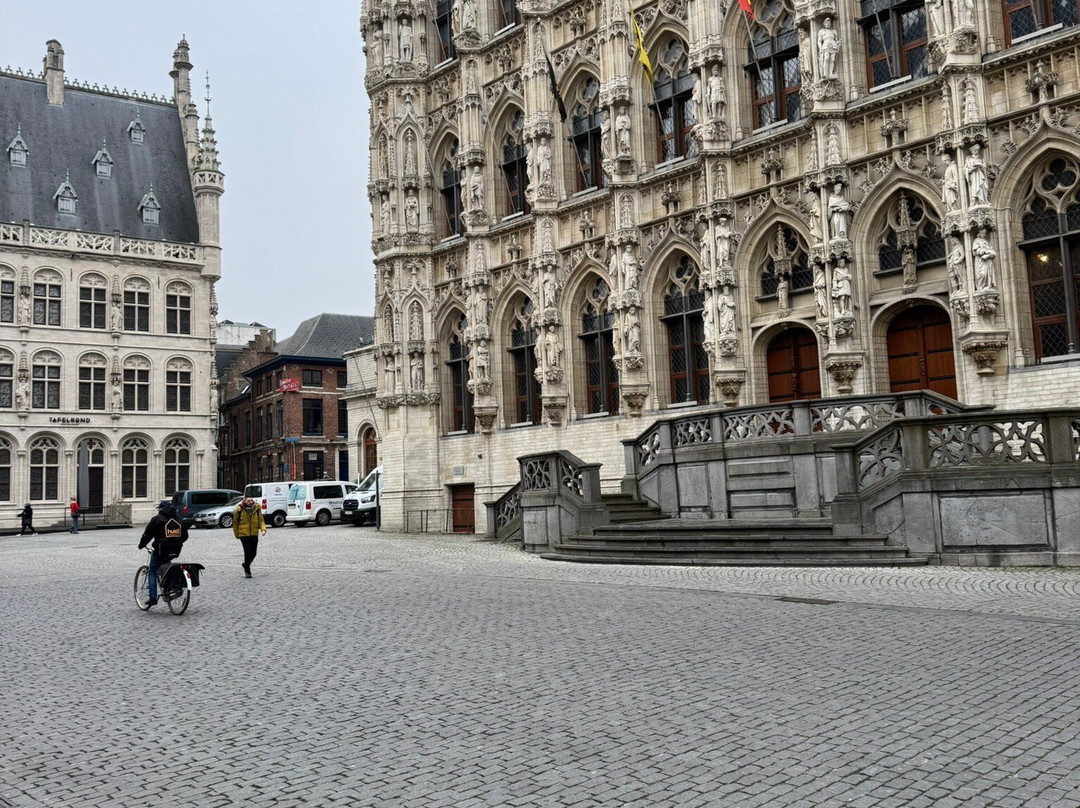 Historic Leuven Town Hall景点图片