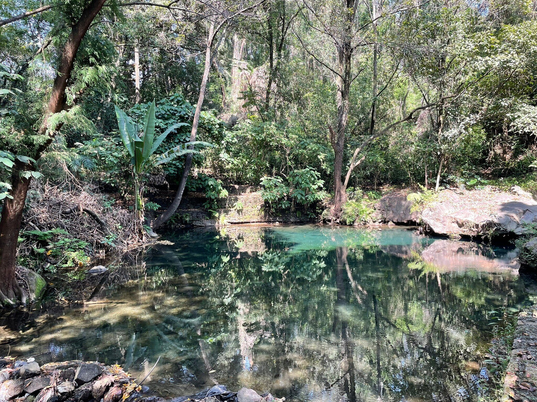 Parque Nacional Barranca del Cupatitzio景点图片
