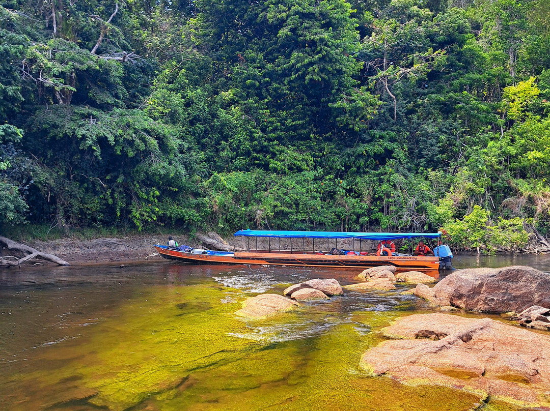 Guyane Brésil Transport景点图片